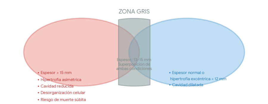 Miocardiopatía Hipertrófica vs Corazón de Atleta