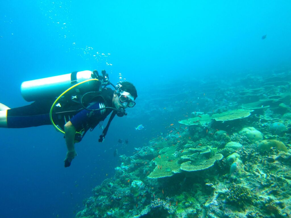 Corazón bajo presión: ¿Protege el buceo el perfil cardiovascular?